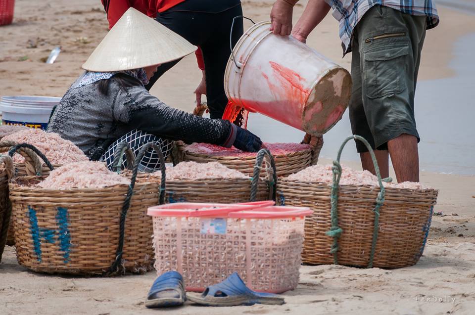 Cộng[-]đồng[-]dậy[-]sóng[-]với[-]hình[-]ảnh[-]nhuộm[-]đỏ[-]ruốc[-]tại[-]Gành[-]Đỏ,[-]Sông[-]Cầu